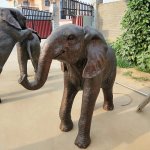Realistic Baby Elephant Statue in Bronze Finish